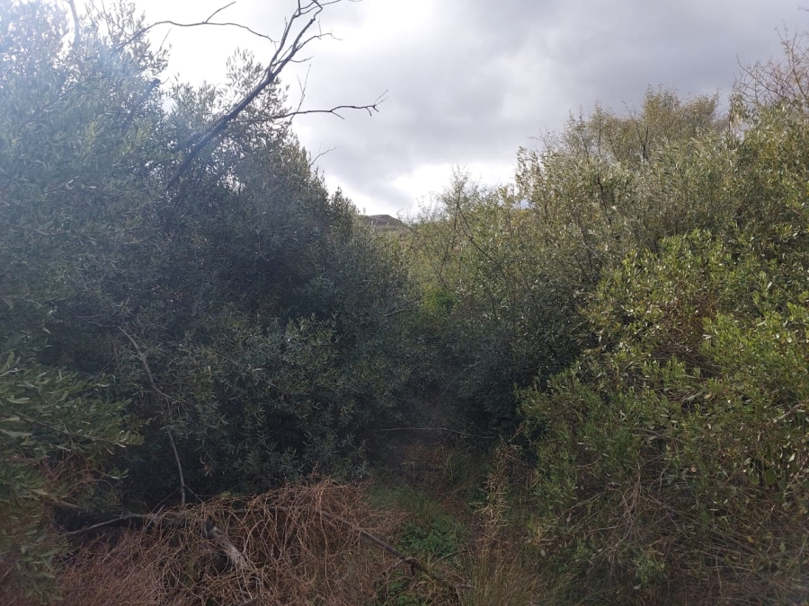 7 Bedroom Property for Sale in Ladismith Rural Western Cape
